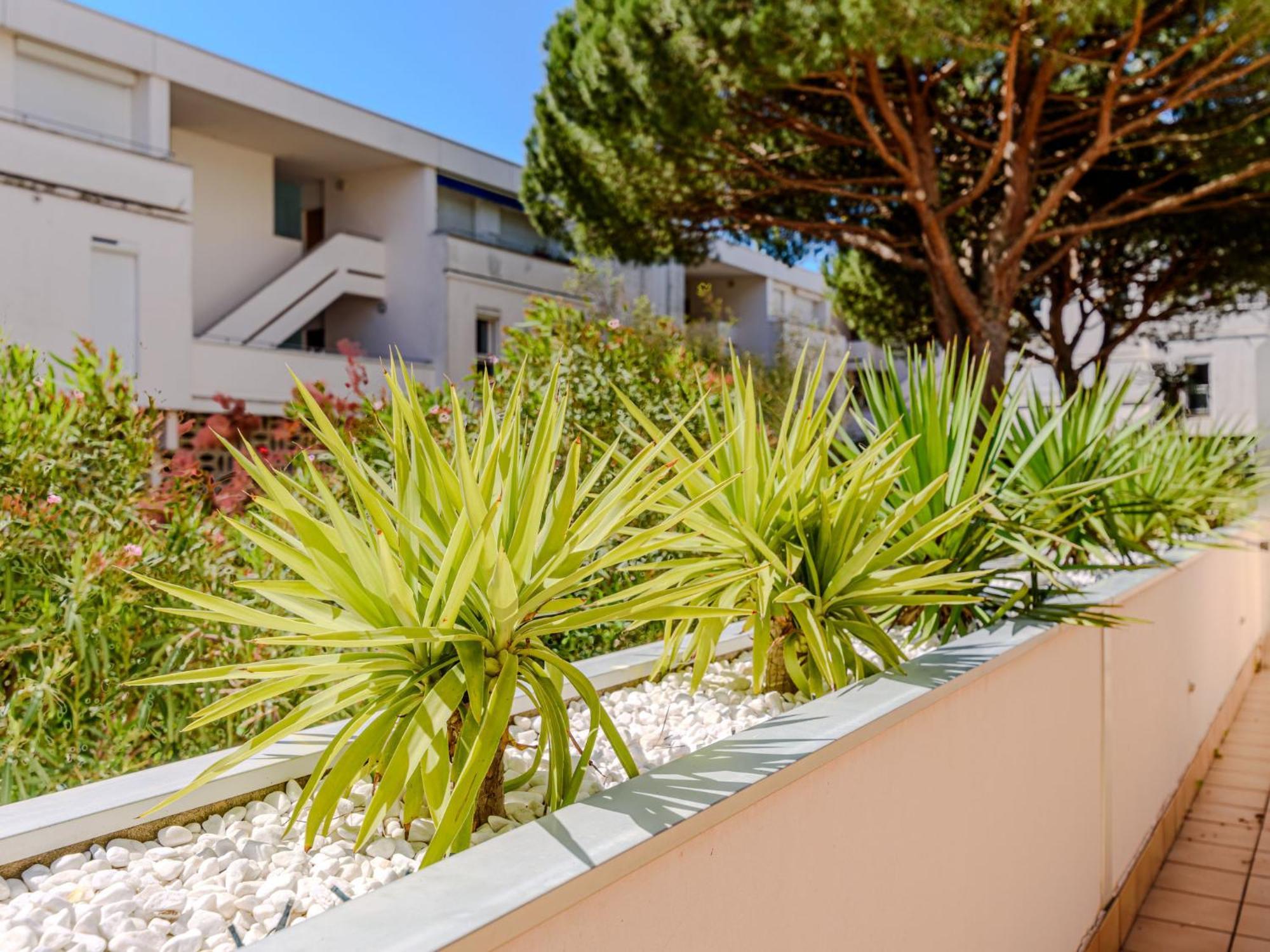 Apartment Antinea-4 By Interhome Ла-Гранд-Мот Экстерьер фото
